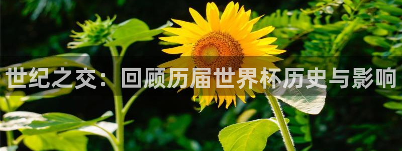 英格兰联赛杯直播:世纪之交:回顾历届世界杯历史与影响