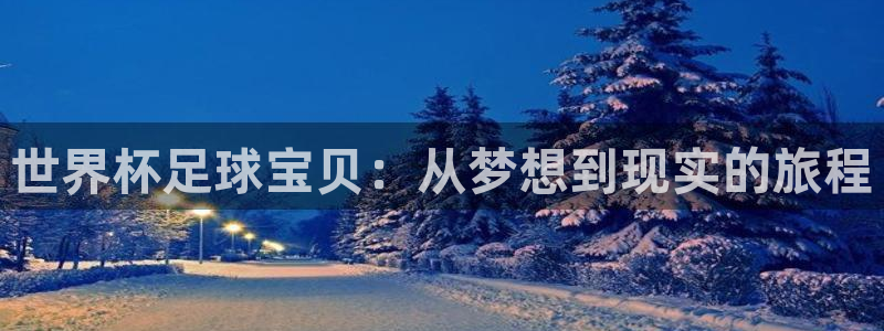 世界杯足球2026:世界杯足球宝贝:从梦想到现实的旅程