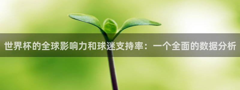 2026世界杯南美区积分榜:世界杯的全球影响力和球迷支持率:一个全面的数据分析