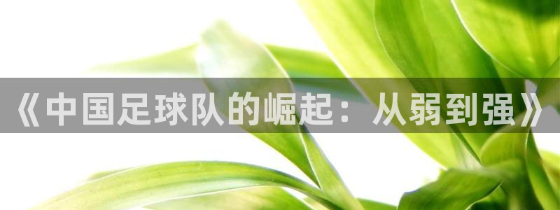 欧洲世界杯预选赛赛程:《中国足球队的崛起:从弱到强》