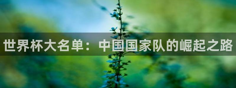 26世界杯:世界杯大名单:中国国家队的崛起之路