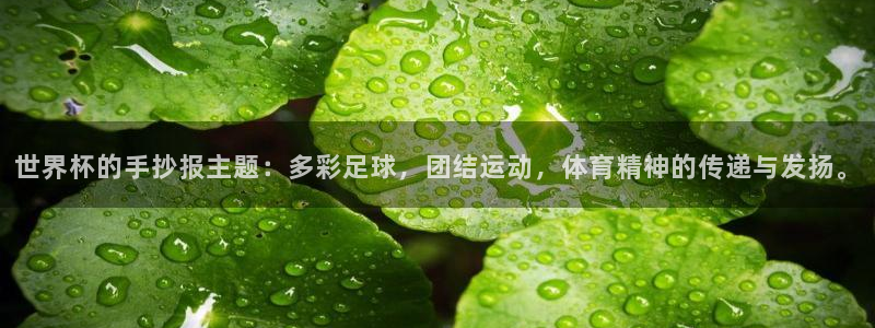 世界杯 中国:世界杯的手抄报主题:多彩足球,团结运动,体育精神的传递与发扬。