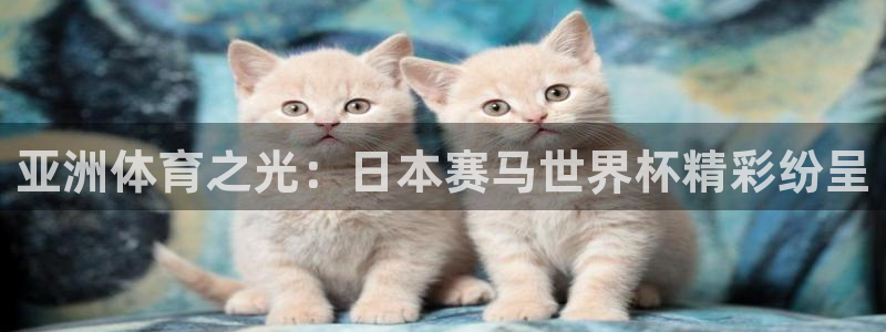 2026世界杯倒计时:亚洲体育之光:日本赛马世界杯精彩纷呈